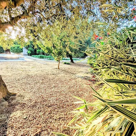 Prázdninový dům Le Jardin Des Delices - De 2 A 8 Personnes Avec Piscine *