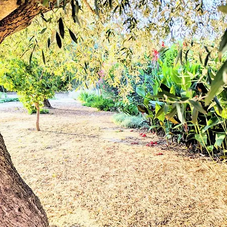 Le Jardin Des Delices - De 2 A 8 Personnes Avec Piscine Prázdninový dům *