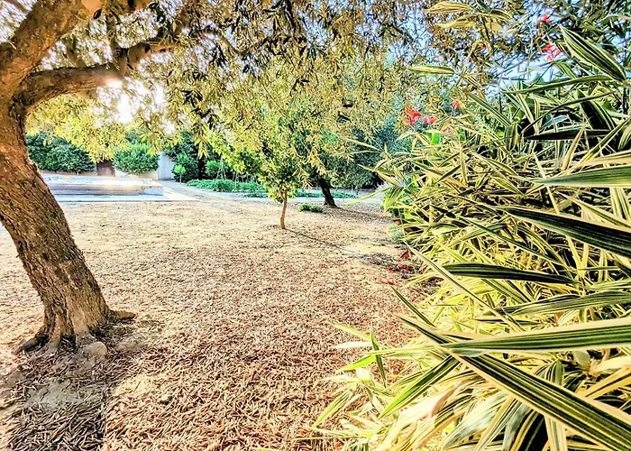 Hébergement de vacances Le Jardin Des Délices - De 2 à 8 Personnes Avec Piscine *