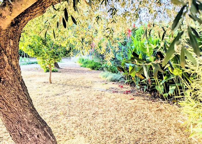 Le Jardin Des Délices - De 2 à 8 Personnes Avec Piscine Hébergement de vacances *